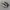 Vans Sk8 Low Black White photo 2