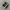 Vans Sk8 Low Black White photo 1