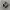 Vans Sk8 Low Chekerboard  photo 1