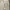 Kasual Cream Prime Wide Pleated Pants Trousers Work Pants photo 2