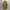 Luxury Casual Pea coat Wanita tan brown photo 3