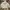 Stussy Streetwear Hoody Pria white photo 2