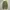 UNIQLO (GU) SUPER WIDE BALLON CARGO PANTS photo 4