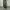 UNIQLO (GU) SUPER WIDE BALLON CARGO PANTS photo 1