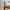 Vintage Luxury Fur coat Wanita tan cream photo 3