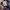 Back Number photo 6