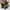 Authentic Longchamp SLH photo 7