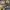 Authentic Longchamp SLH photo 6