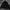 Windbreaker FCMM Big Logo Black photo 1