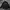 Windbreaker FCMM Big Logo Black photo 2