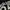 Adidas x ted company tedman MA1 rare bomber jacket photo 7