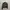 Pull & Bear Streetwear Casual Bomber jacket Wanita multicolor green photo 4