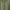 Cable Knit Green Cardigan Outer Top Hijau photo 2
