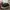 Vans Sk8-Low PT NAVYA photo 2