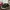 Vans Sk8-Low PT NAVYA