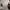 Crop no brand photo 1
