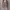 floral outer photo 2