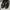 Sepatu Sama brand  photo 4