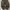 Baggy Ballon Pants  photo 1