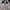 AIR JORDAN 3 RETRO SE (GS) women photo 5