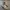 New Balance Streetwear Casual Sneakers Pria gray photo 1