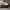 AIR JORDAN 1 LOW (GS)  women  photo 2