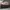 AIR JORDAN 1 LOW (GS)  women  photo 5