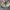 Y2K Hat Pria multicolor photo 2