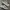 Nike Streetwear Casual Sneakers Pria white tan photo 2
