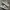 Nike Streetwear Casual Sneakers Pria White Tan