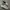 Nike Streetwear Casual Sneakers Pria white tan photo 1