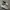 Nike Streetwear Casual Sneakers Pria White Tan