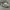 Nike Streetwear Casual Sneakers Pria white tan photo 5
