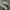 Nike Streetwear Casual Sneakers Pria white tan photo 3