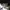 Nike Streetwear Casual Sneakers Pria white black photo 8