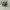 Nike Streetwear Casual Sneakers Pria white black photo 6
