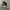 Nike Streetwear Casual Sneakers Pria white black photo 1