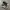 Nike Streetwear Casual Sneakers Pria White Black
