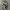 Nike Streetwear Casual Sneakers Pria white black photo 3
