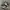 Nike Streetwear Casual Sneakers Pria white black photo 2