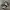 Nike Streetwear Casual Sneakers Pria White Black