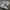 Nike Streetwear Casual Sneakers Pria white photo 2