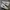 Nike Streetwear Casual Sneakers Pria White