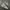 Nike Streetwear Casual Sneakers Pria white photo 1