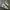 Nike Streetwear Casual Sneakers Pria White