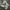 Nike Streetwear Casual Sneakers Pria white photo 3