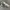 Nike Streetwear Casual Sneakers Pria white photo 5