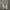 Nike Streetwear Casual Sneakers Pria white photo 4