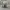 Nike Streetwear Casual Sneakers Pria white photo 6
