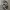 Nike Streetwear Casual Sneakers Pria white black photo 3